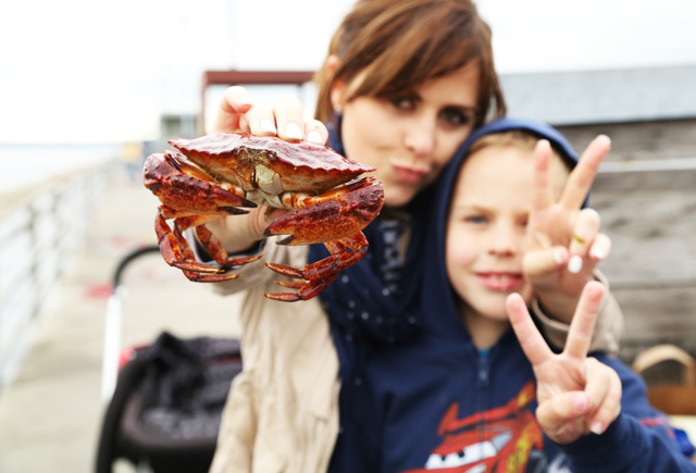 crabbing with kids