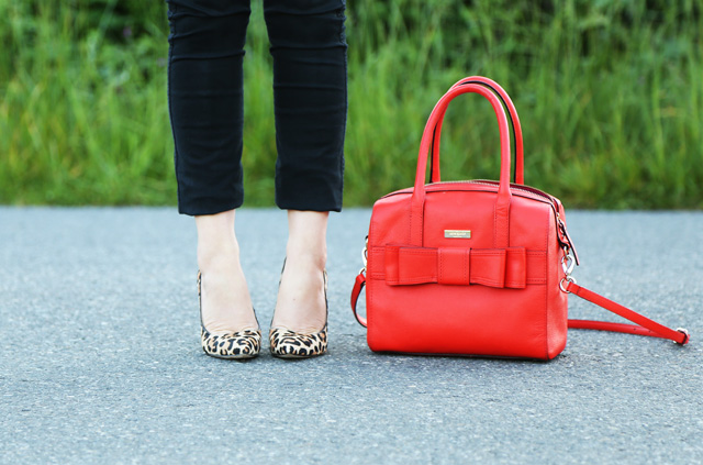 leopard and poppy