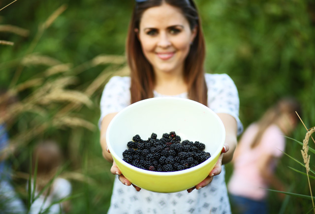 big bowl of blackberries