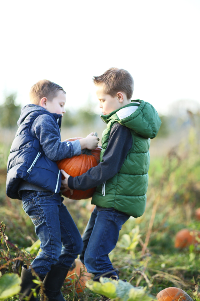 brothers in a pumpkin patch