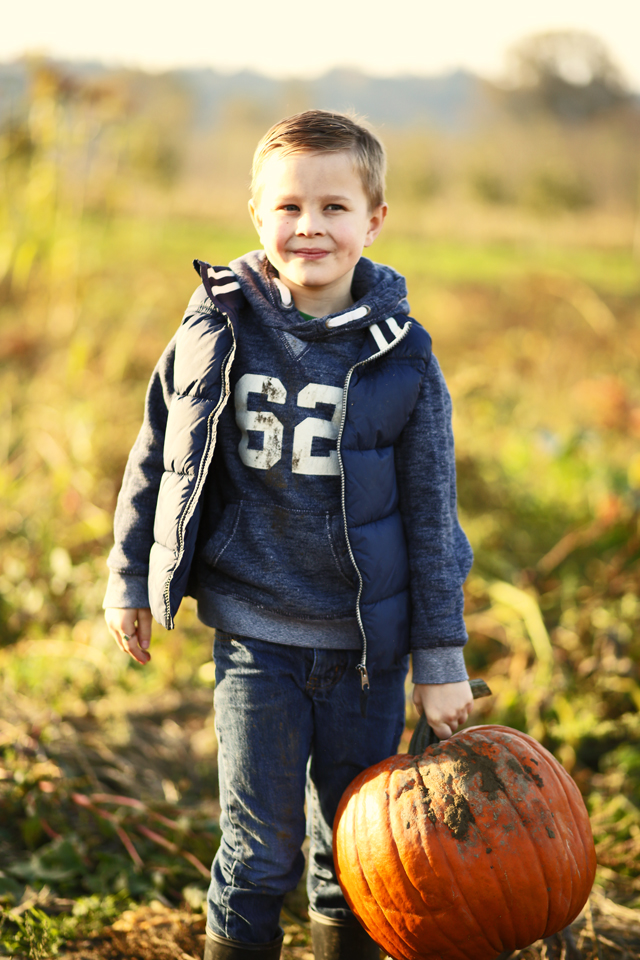 cute boy in a pumpkin patch