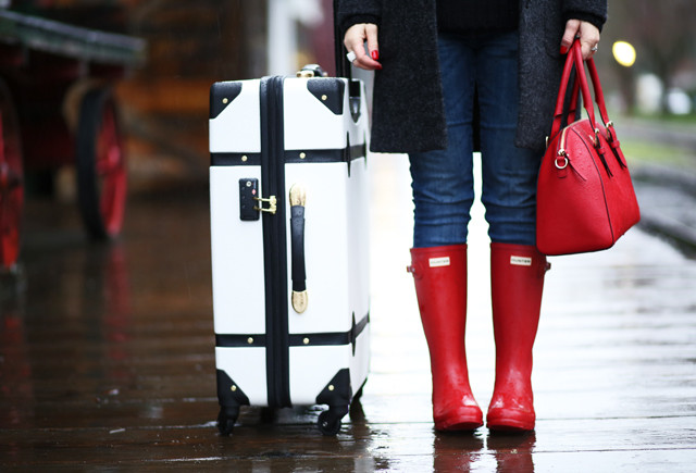 dvf suitcase