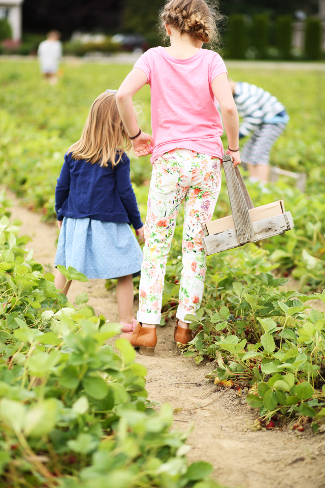 strawberry picking with kids